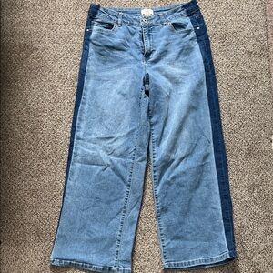 Camila Coelho Two-Tone Blue Flare Jeans